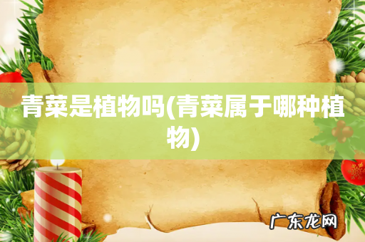 青菜属于哪种植物 青菜是植物吗