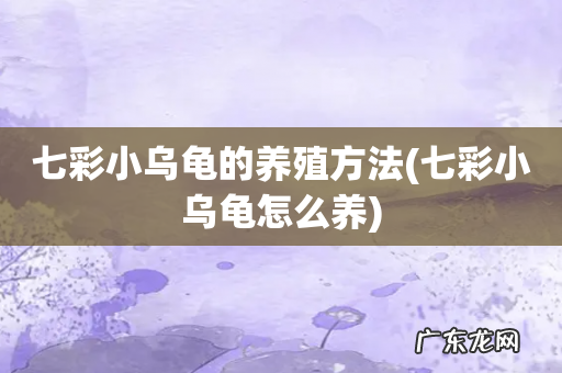 七彩小乌龟怎么养 七彩小乌龟的养殖方法