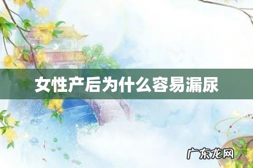 女性产后为什么容易漏尿