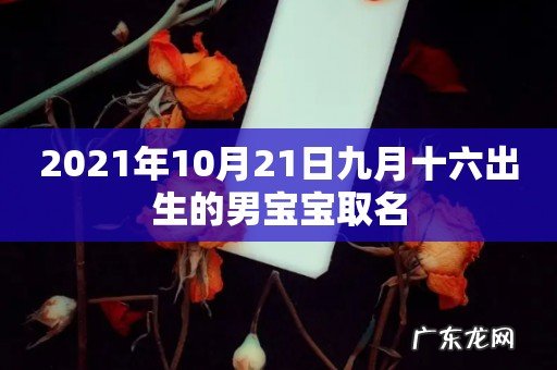 2021年10月21日九月十六出生的男宝宝取名