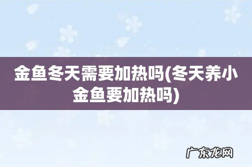 冬天养小金鱼要加热吗 金鱼冬天需要加热吗