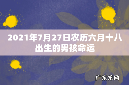 2021年7月27日农历六月十八出生的男孩命运