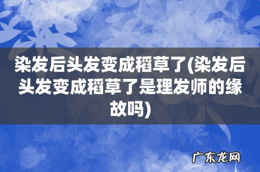 染发后头发变成稻草了是理发师的缘故吗 染发后头发变成稻草了