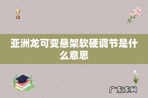 亚洲龙可变悬架软硬调节是什么意思