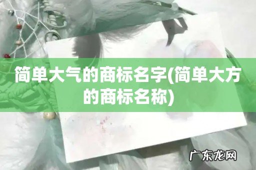 简单大方的商标名称 简单大气的商标名字