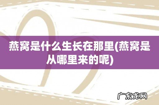 燕窝是从哪里来的呢 燕窝是什么生长在那里