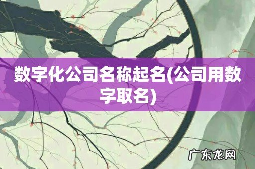 公司用数字取名 数字化公司名称起名