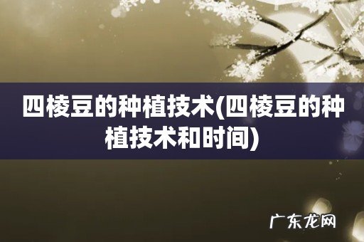 四棱豆的种植技术和时间 四棱豆的种植技术