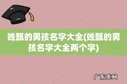 姓甄的男孩名字大全两个字 姓甄的男孩名字大全