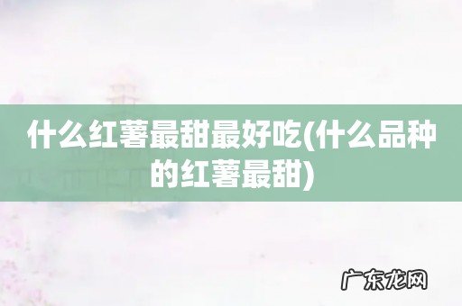 什么品种的红薯最甜 什么红薯最甜最好吃