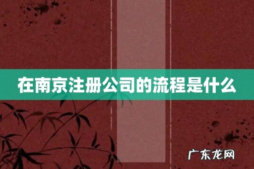 在南京注册公司的流程是什么
