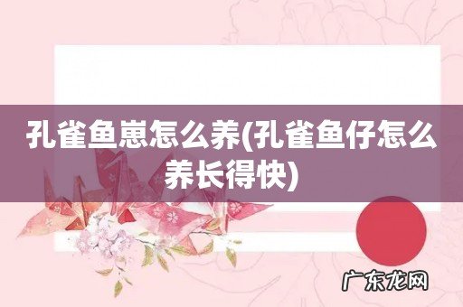 孔雀鱼仔怎么养长得快 孔雀鱼崽怎么养