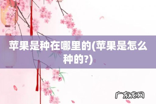苹果是怎么种的? 苹果是种在哪里的