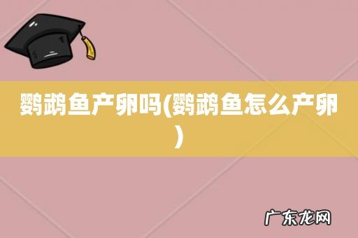 鹦鹉鱼怎么产卵 鹦鹉鱼产卵吗