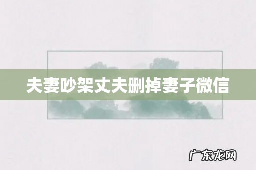 夫妻吵架丈夫删掉妻子微信