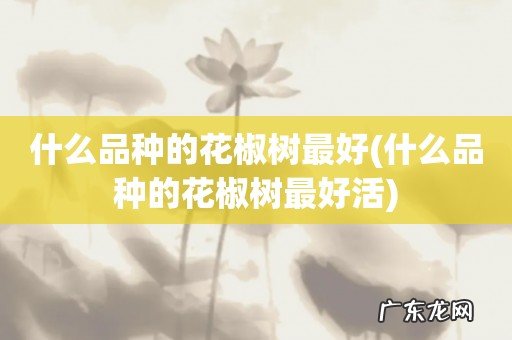 什么品种的花椒树最好活 什么品种的花椒树最好