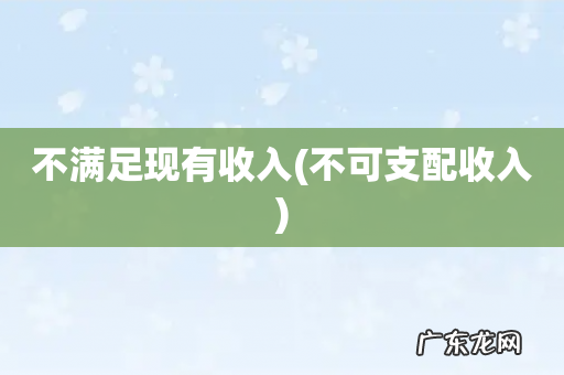 不可支配收入 不满足现有收入