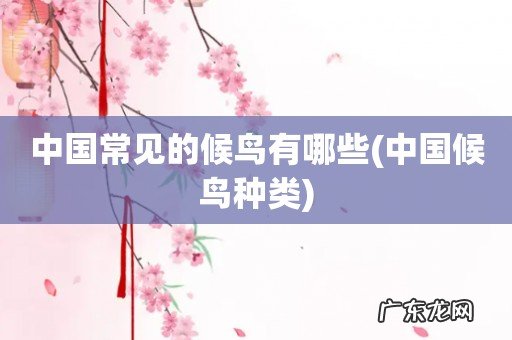 中国候鸟种类 中国常见的候鸟有哪些