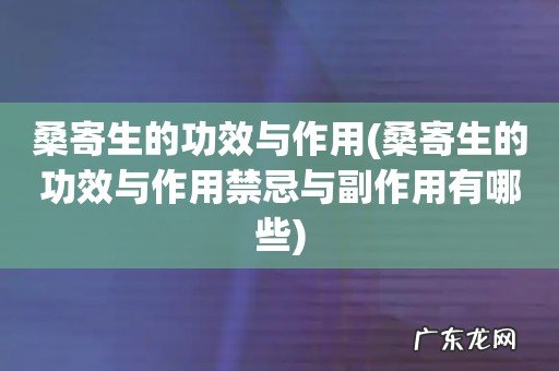 桑寄生的功效与作用禁忌与副作用有哪些 桑寄生的功效与作用