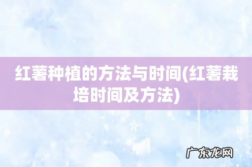红薯栽培时间及方法 红薯种植的方法与时间