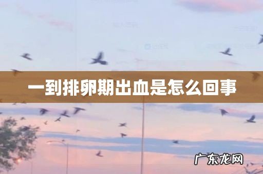 一到排卵期出血是怎么回事