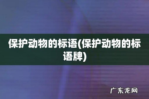 保护动物的标语牌 保护动物的标语