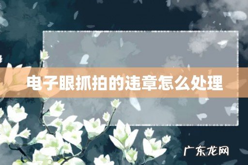 电子眼抓拍的违章怎么处理