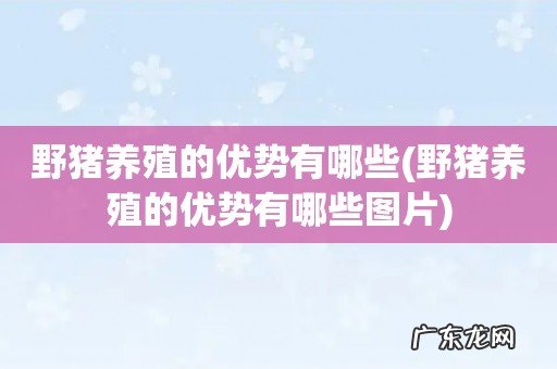 野猪养殖的优势有哪些图片 野猪养殖的优势有哪些