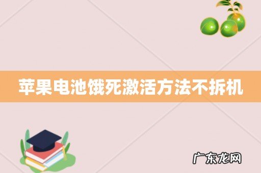苹果电池饿死激活方法不拆机