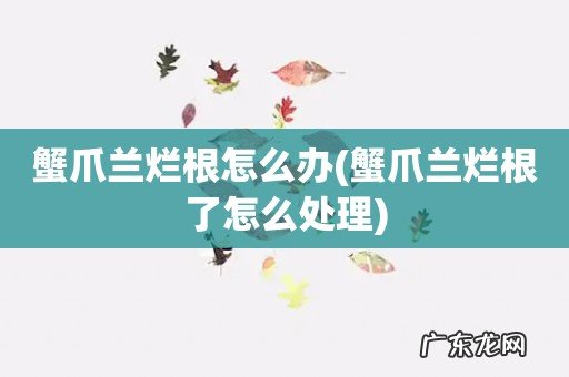 蟹爪兰烂根了怎么处理 蟹爪兰烂根怎么办