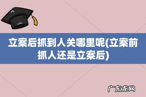 立案前抓人还是立案后 立案后抓到人关哪里呢