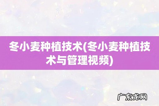 冬小麦种植技术与管理视频 冬小麦种植技术