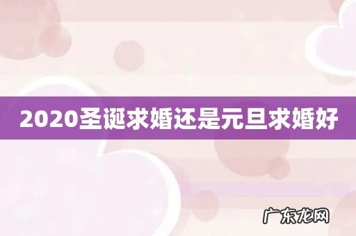 2020圣诞求婚还是元旦求婚好