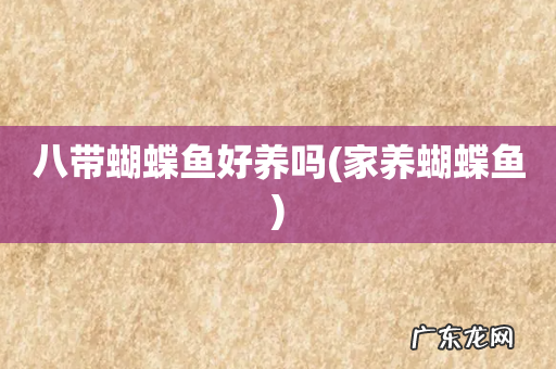 家养蝴蝶鱼 八带蝴蝶鱼好养吗