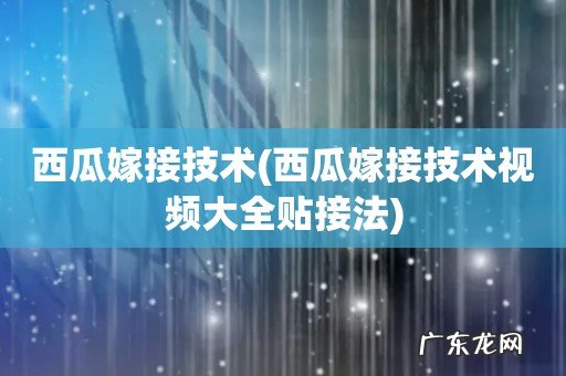 西瓜嫁接技术视频大全贴接法 西瓜嫁接技术