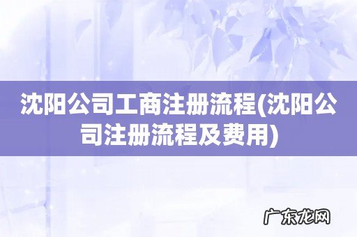 沈阳公司注册流程及费用 沈阳公司工商注册流程