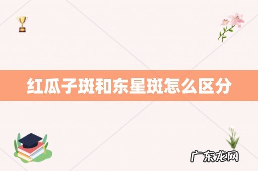 红瓜子斑和东星斑怎么区分