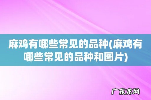 麻鸡有哪些常见的品种和图片 麻鸡有哪些常见的品种