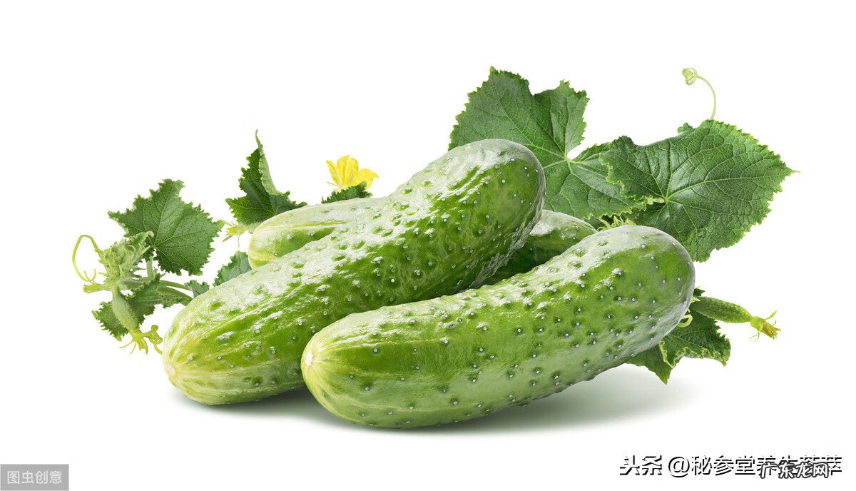 胃胀气应该吃什么主食 胃胀气吃什么食物好