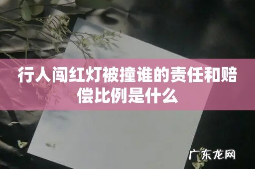 行人闯红灯被撞谁的责任和赔偿比例是什么