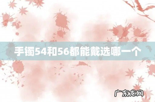 手镯54和56都能戴选哪一个