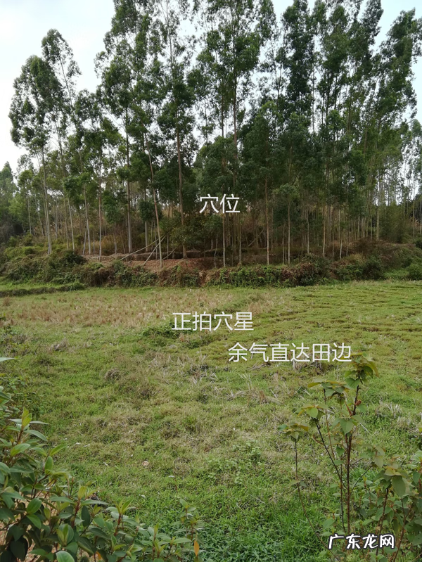 三合风水立向详解 风水如何立向