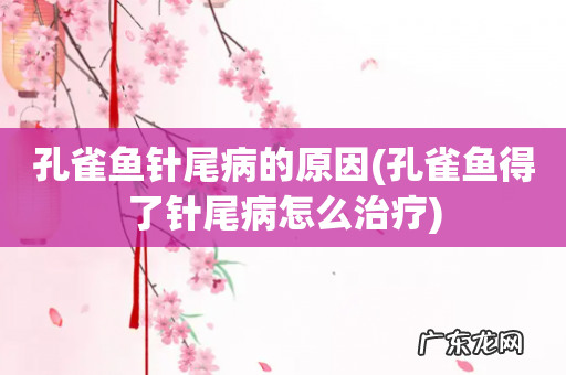 孔雀鱼得了针尾病怎么治疗 孔雀鱼针尾病的原因