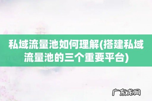 搭建私域流量池的三个重要平台 私域流量池如何理解