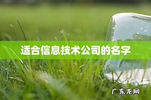 适合信息技术公司的名字