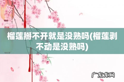 榴莲剥不动是没熟吗 榴莲掰不开就是没熟吗