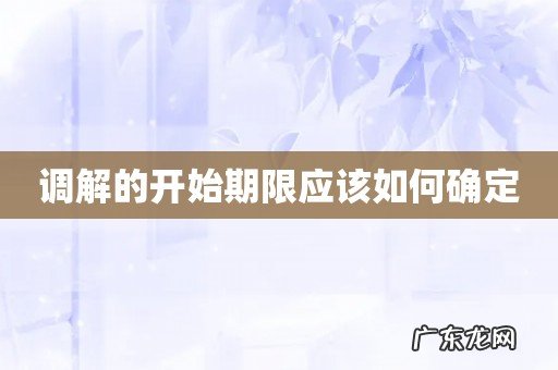 调解的开始期限应该如何确定