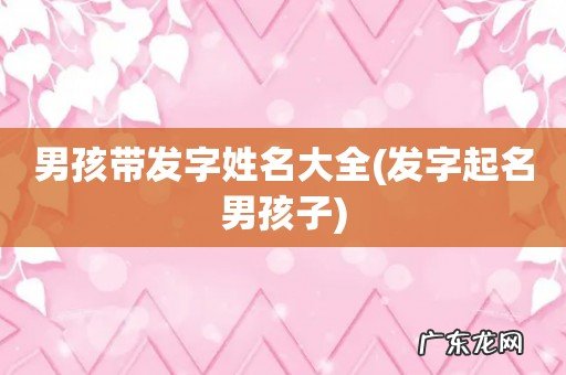 发字起名男孩子 男孩带发字姓名大全