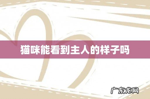 猫咪能看到主人的样子吗