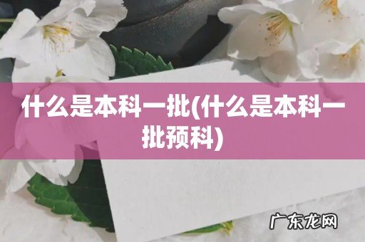 什么是本科一批预科 什么是本科一批